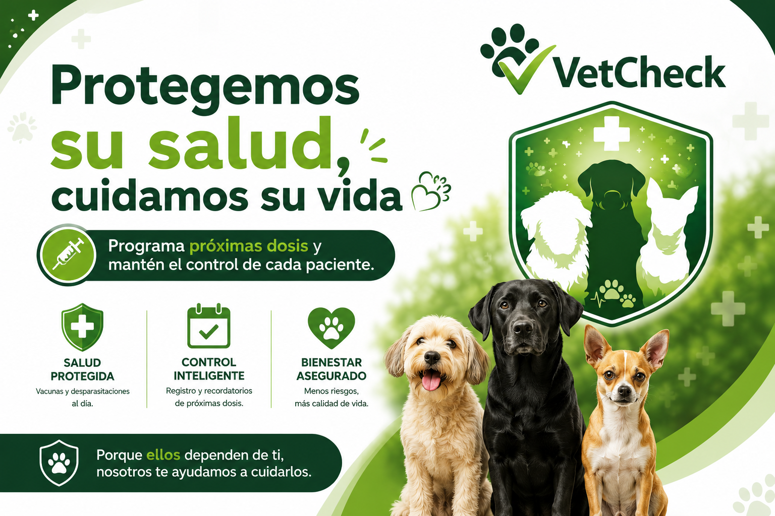 Vacunas y refuerzos